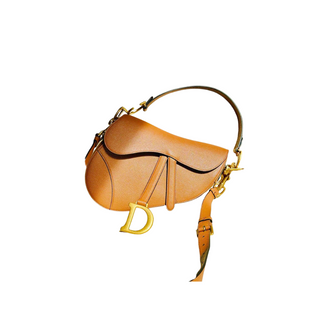 Le Sac Saddle Dior